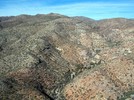 recent photo