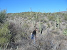 photo thumbnail #5