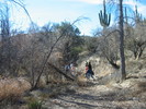 photo thumbnail #6