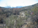 photo thumbnail #13