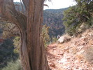 photo thumbnail #11