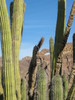 photo thumbnail #10