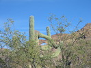 photo thumbnail #11