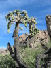 photo thumbnail #13