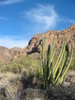 photo thumbnail #15
