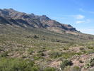 photo thumbnail #3