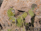 photo thumbnail #13