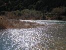 photo thumbnail #15