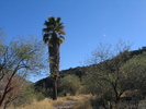 recent photo
