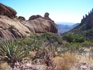photo thumbnail #5