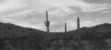 photo thumbnail #12