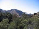 photo thumbnail #3