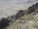 photo thumbnail #12