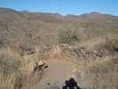 photo thumbnail #2