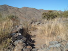 photo thumbnail #3