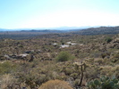 photo thumbnail #12