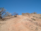 photo thumbnail #15