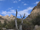 photo thumbnail #8