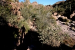 photo thumbnail #3