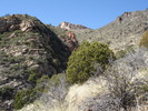 photo thumbnail #1