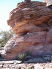 photo thumbnail #2