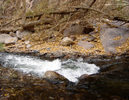 photo of comment