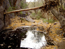 photo thumbnail #5