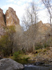 photo thumbnail #10