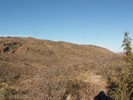 photo thumbnail #8