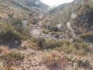 photo thumbnail #15