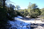 photo thumbnail #6