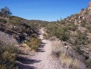 photo thumbnail #4
