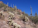 photo thumbnail #7