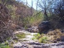 photo thumbnail #10