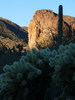 photo thumbnail #7
