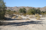 photo thumbnail #8