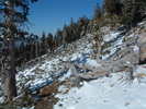 photo thumbnail #1