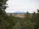 recent photo