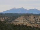 photo thumbnail #11