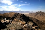 photo thumbnail #7