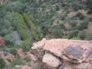 photo thumbnail #1