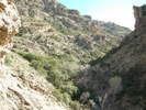 photo thumbnail #12