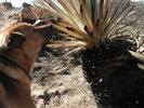 photo thumbnail #5