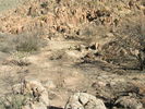 photo thumbnail #6