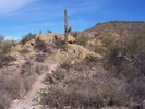 photo thumbnail #2