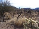 photo thumbnail #5