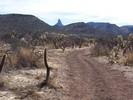 photo thumbnail #6