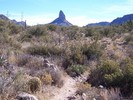 photo thumbnail #10