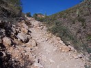 photo thumbnail #15