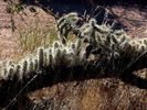 photo thumbnail #14